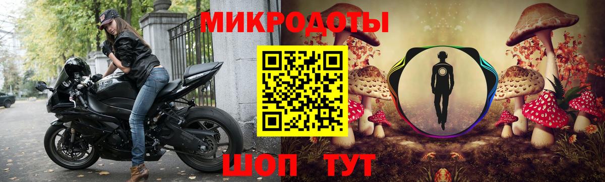 Псилоцибиновые грибы ЛСД  Вход с VPN  Пушкино  даркнет сайт  Галлюциногенные грибы мицелий 